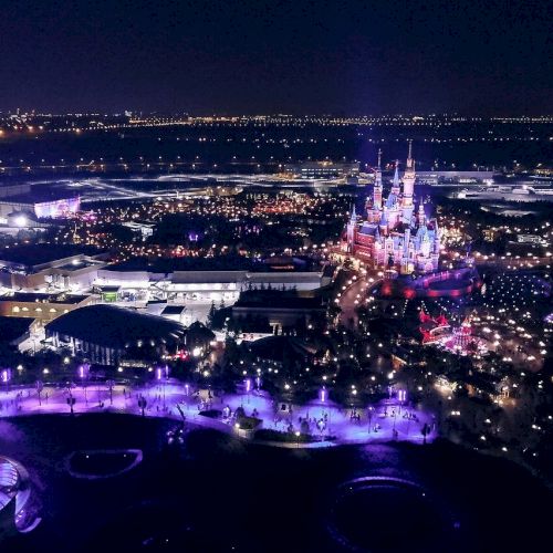 An aerial view of a brightly lit amusement park at night featuring a castle-like structure and various illuminated attractions.